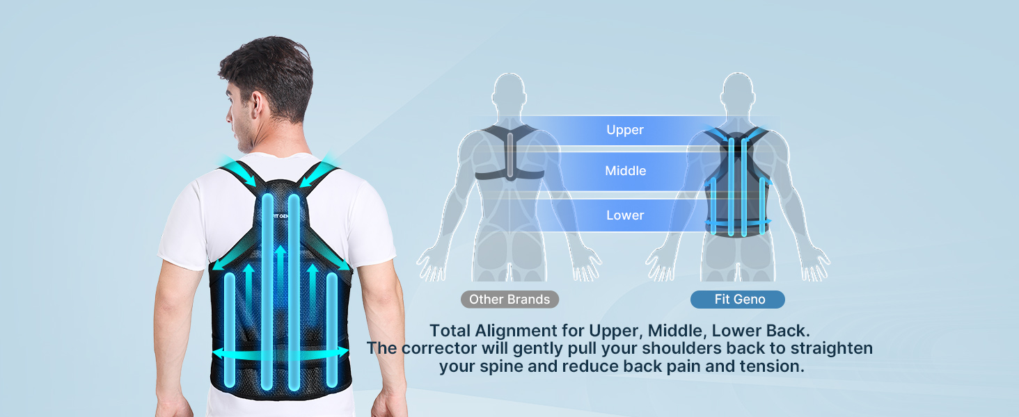 SpineAid Pro Support